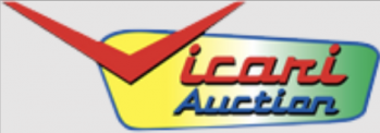 Vicari Auction